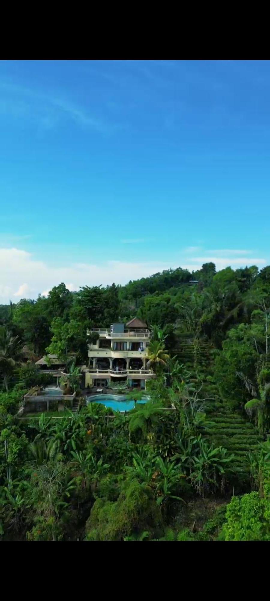 Dwan Tea Mountain Side Bed & Breakfast Jatiluwih Dış mekan fotoğraf