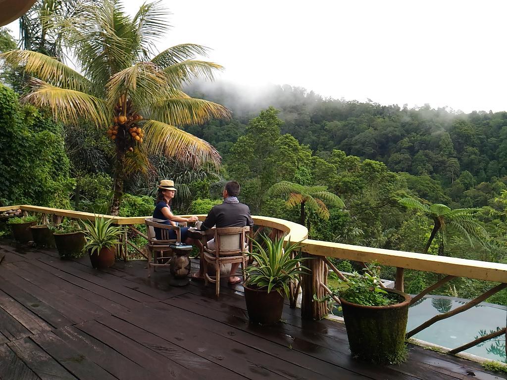 Dwan Tea Mountain Side Bed & Breakfast Jatiluwih Dış mekan fotoğraf