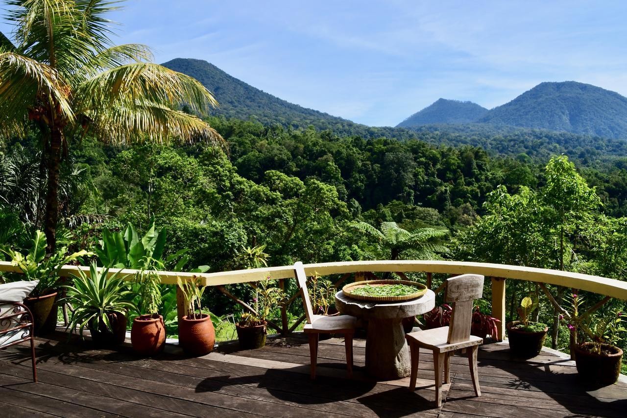 Dwan Tea Mountain Side Bed & Breakfast Jatiluwih Dış mekan fotoğraf