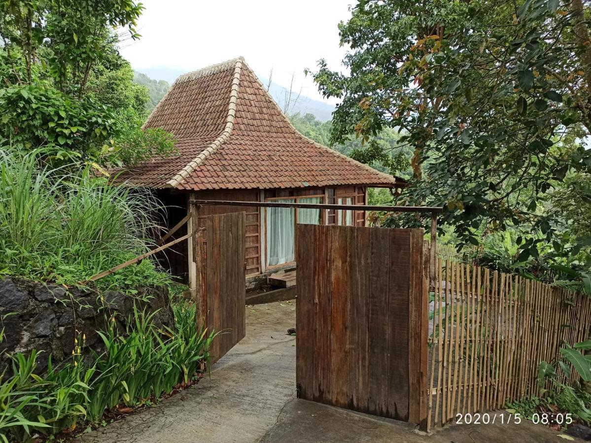 Dwan Tea Mountain Side Bed & Breakfast Jatiluwih Dış mekan fotoğraf